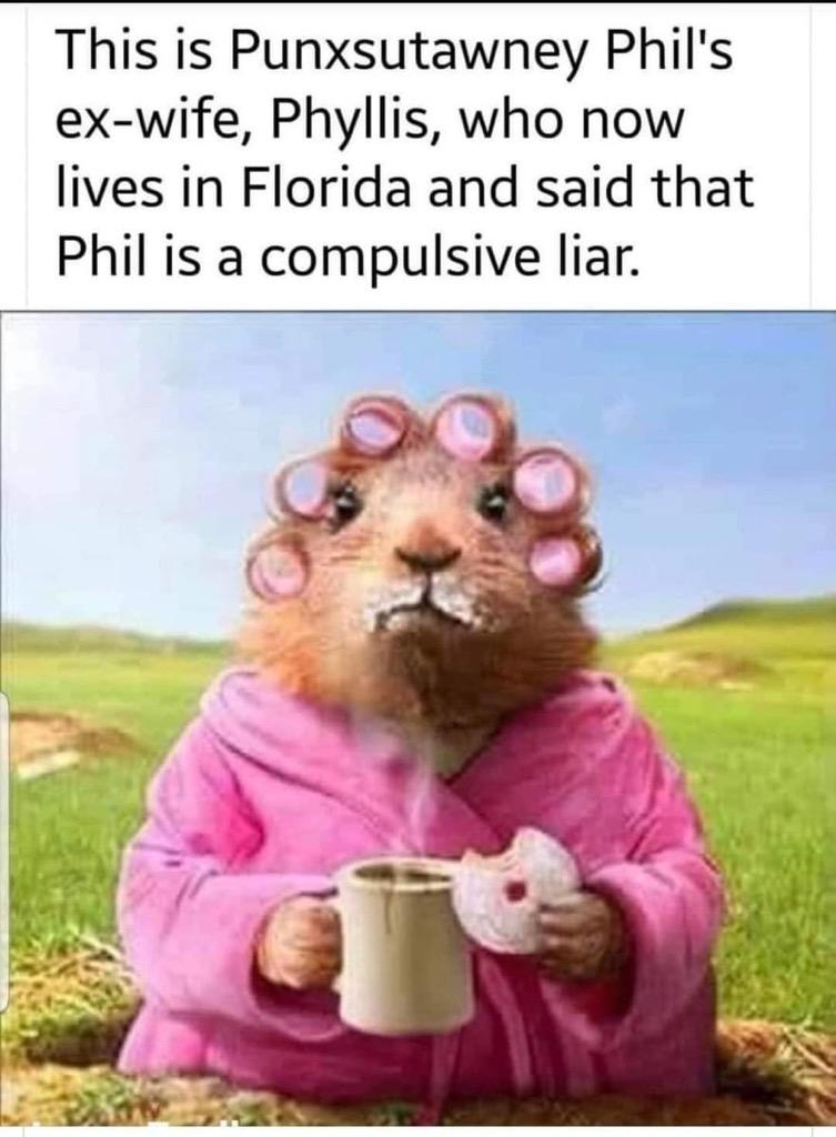 1706995270514.jpeg