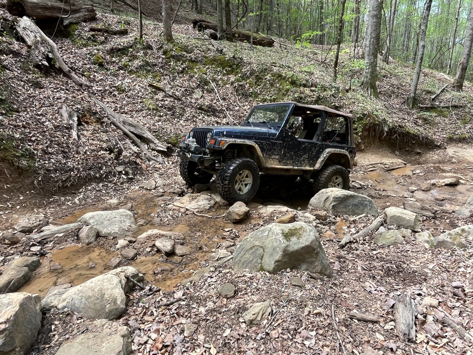 01d2168f3fca9bf6df2f073cbbfb129bb92d1a5890.jpg