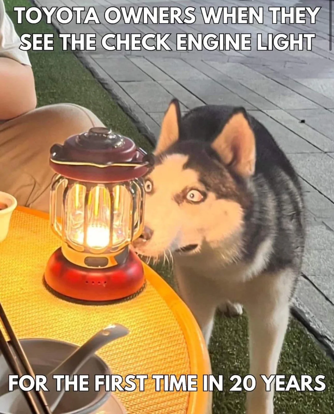 1774958073488.png