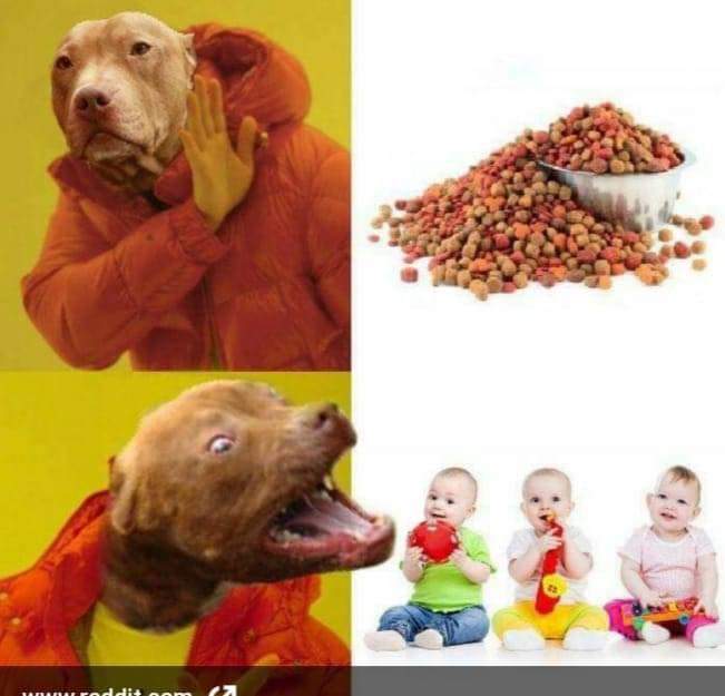 FB_IMG_1603637279473.jpg