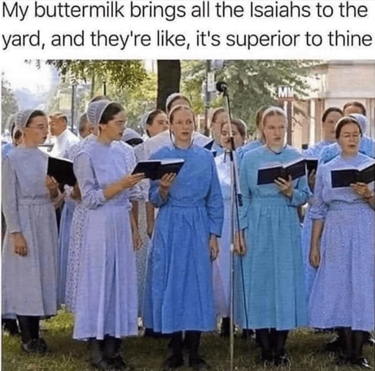 IMG_9256.png