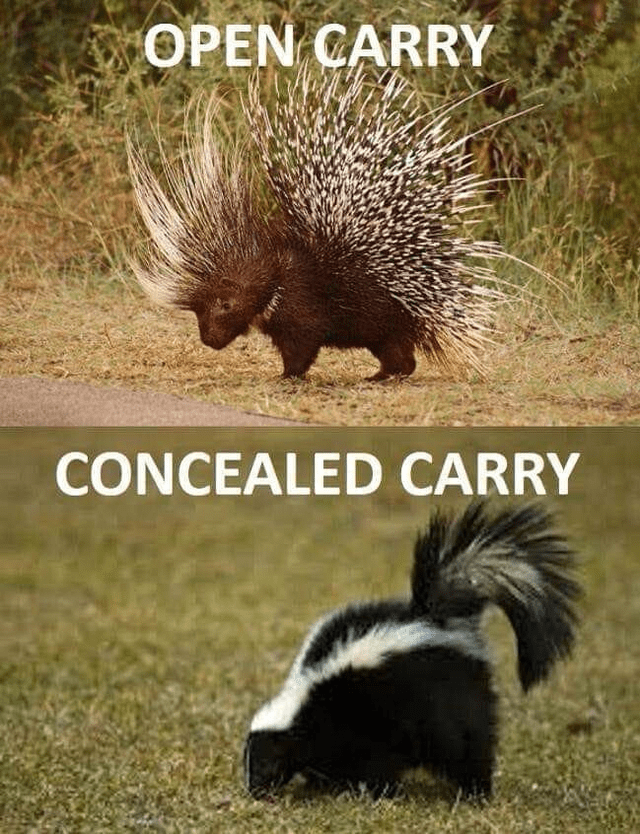 IMG_4345.png