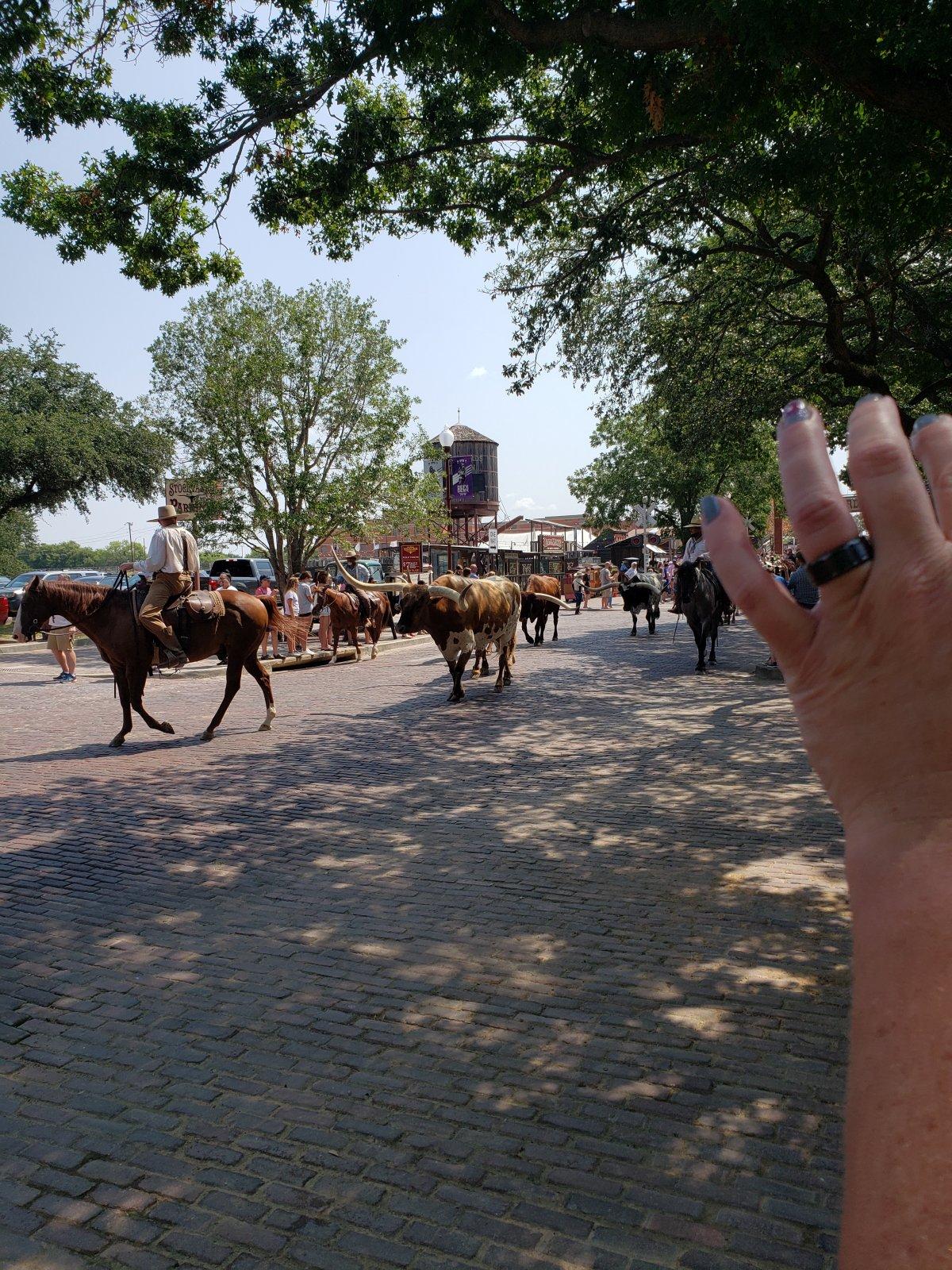 20210806_113416[1].jpg