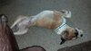 IMG_20130628_150709_056.jpg