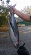 20150813_184609.jpg