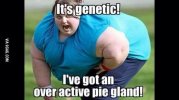 ImageUploadedByTapatalk1439577749.775863.jpg
