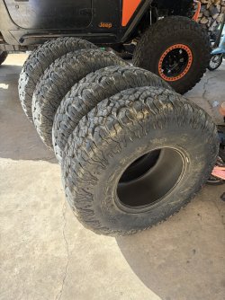 IMG_3809.jpeg