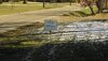 IMG_2013111331219.jpg