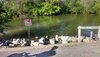 IMG_2014050935594.jpg