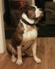 IMG_20131027_185801-1-1.jpg
