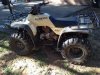 4 wheeler side 2.jpg