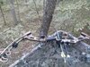 IMG_20140928_174446_723.jpg