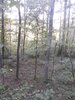 IMG_20140928_174514_798.jpg