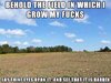 FB_IMG_14409982575771.jpg