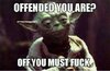 Yoda 1.jpg