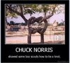 Chuck 1.jpg