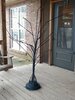tree.jpg