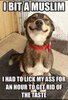 FB_IMG_14531749995171.jpg