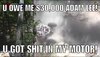 image.jpeg