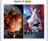 chicken1.jpg