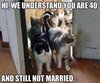 cats.jpg