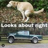 FB_IMG_1465180697553.jpg