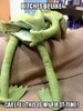 image.jpeg
