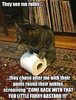 FB_IMG_1466645995440.jpg
