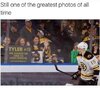 image.jpeg