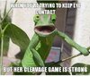 image.jpeg