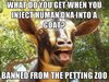 FB_IMG_1478052015682.jpg