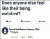 CIA.JPG