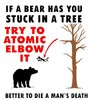 bear.jpg