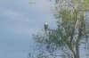 20170506_180723.jpg