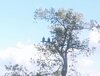 20170506_182031.jpg