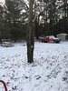 IMG_2126.JPG