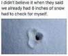 FB_IMG_1520560792172.jpg