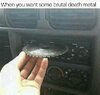 FB_IMG_1521859255482.jpg