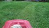IMG_20180504_171513_895-1-1.jpg