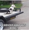 F78FC80C-6BF7-437F-B8EF-32B7C791A858.jpeg