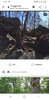 Screenshot_20191114-130104_Chrome.jpg