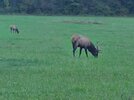 20201003_180024.jpg