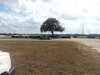 20121127_131930_4.jpg