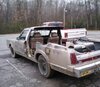 IMG231-1.jpg
