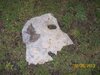 100_2383.jpg