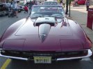 purplevette.jpg