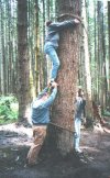 elbejun9treehugr.jpg