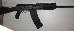 saiga.jpg