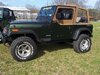 Element, Jeep, Jeep 3-21-13 007.jpg