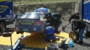 dogs rally race 054.jpg
